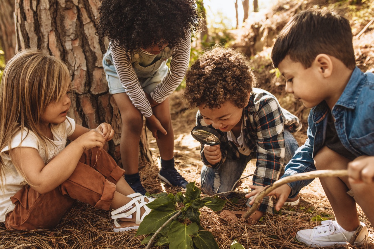children investigating